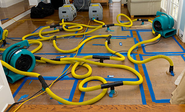 Professional Structural Drying And Dehumidification technician working in Pepeekeo, HI
